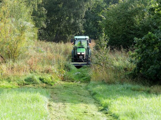 Slåning af sti i 1,1 m's bredde mellem Sneglehøjsøerne. Foto: Asbjørn Hillestoft 04-09-2019.