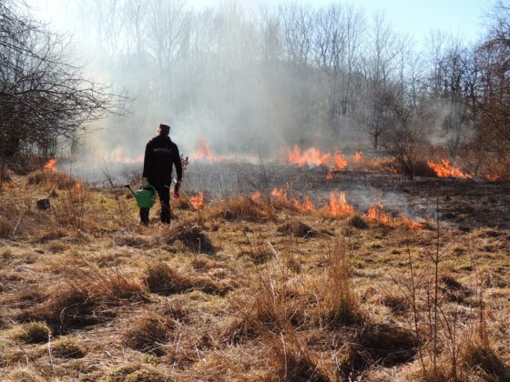 Kontrolleret afbrænding på trekanten mellem Borgm. P. Christensens Sti og Rønnebær Alle. Foto: Asbjørn Hillestoft 19-03-2021.