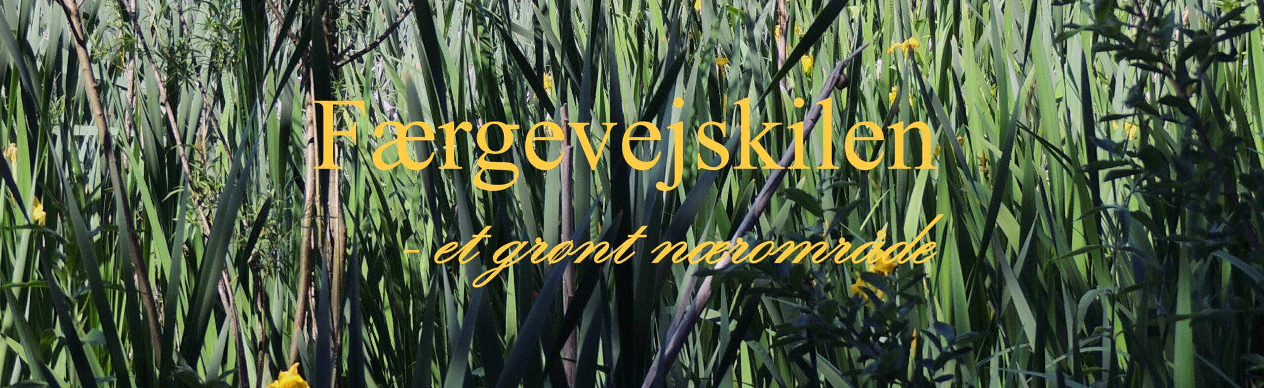 F&aelig;rgevejskilen