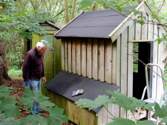 Flemming Jensen under restaurering af hønsehus ved gartnerboligen i Meulenborgskoven. Hønsehuset blev desværre nedrevet samtidig med gartnerboligen i 2025. Foto: Asbjørn Hillestoft 01-06-2019.